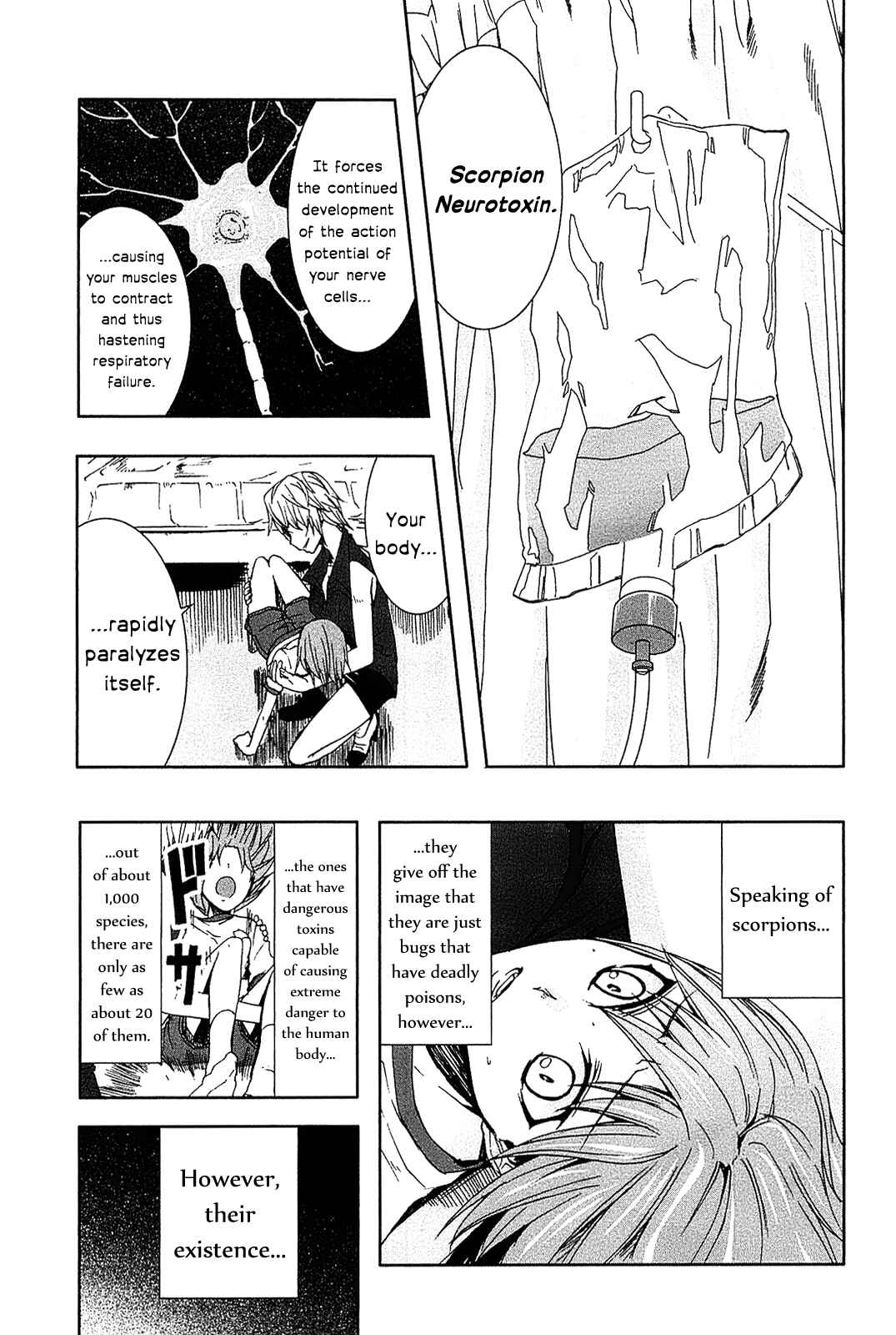 Page 37 Chapter 7 Arachnid