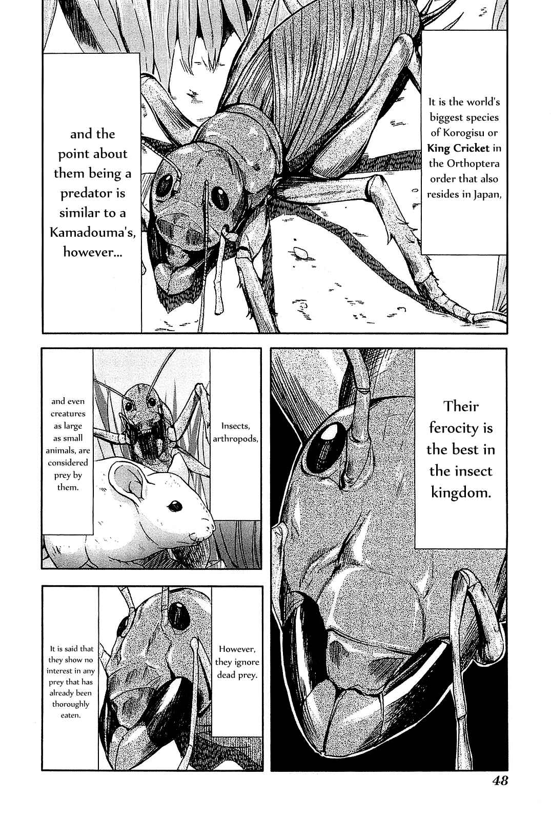 Page 19 Chapter 22 Arachnid