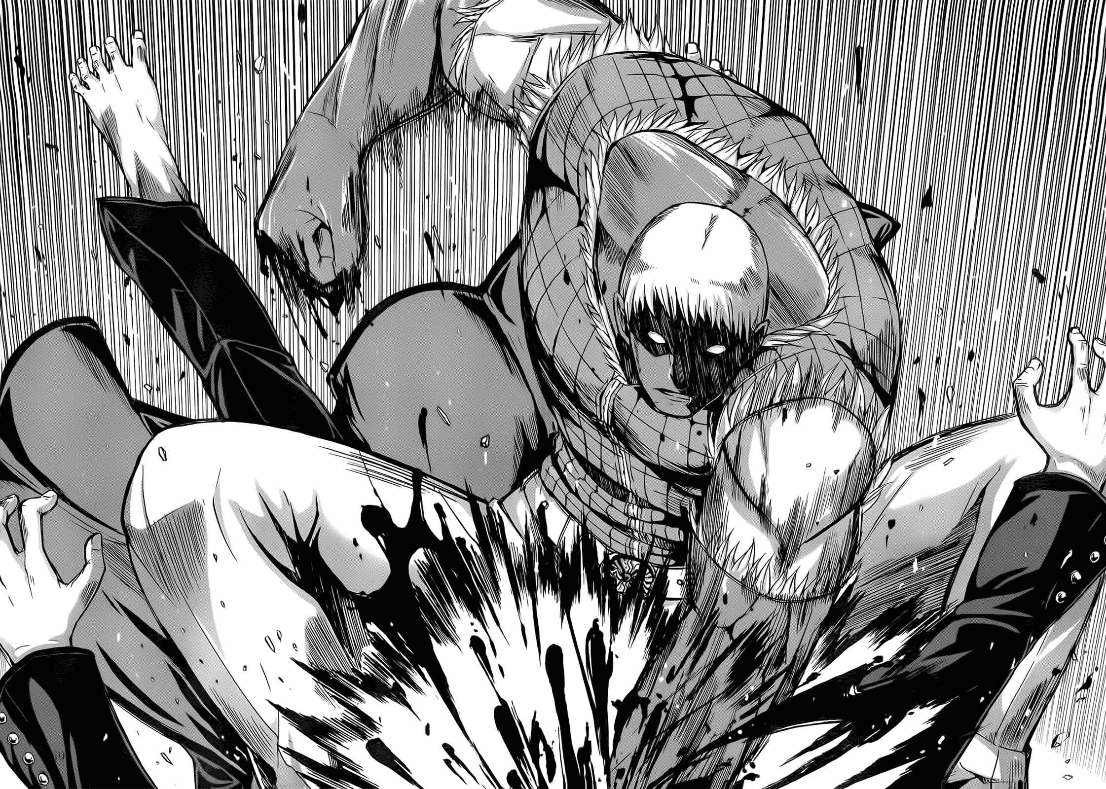 Page 40 Chapter 22 Arachnid