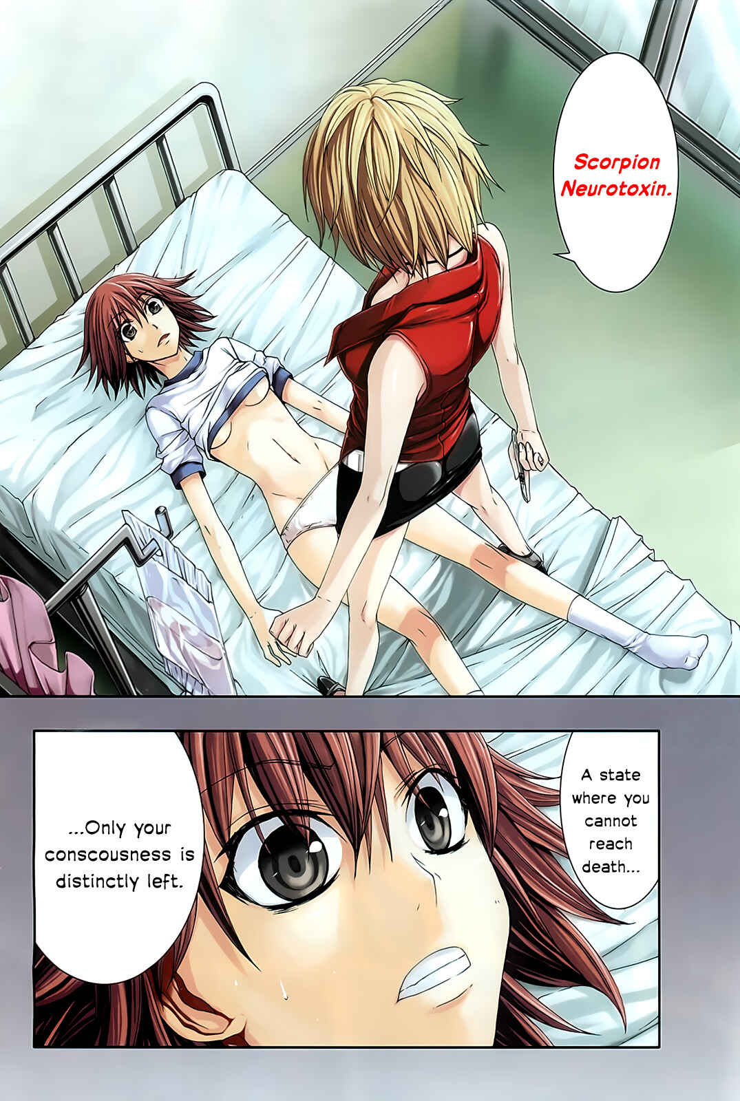 Page 2 Chapter 8 Arachnid