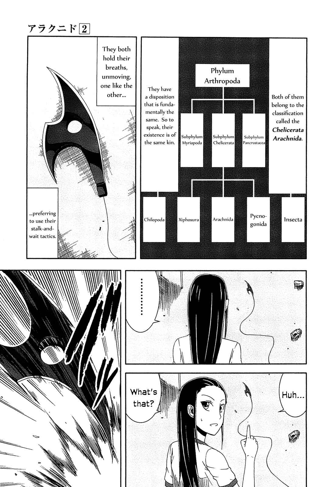 Page 24 Chapter 8 Arachnid