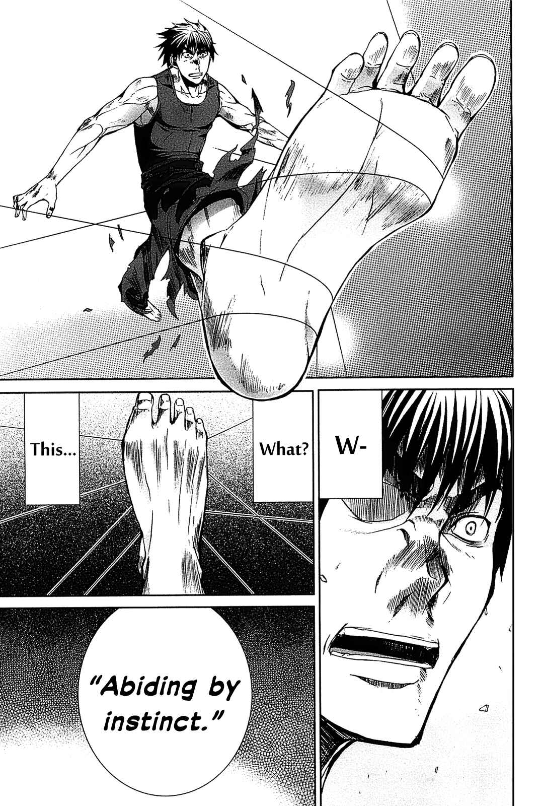 Page 14 Chapter 15 Arachnid