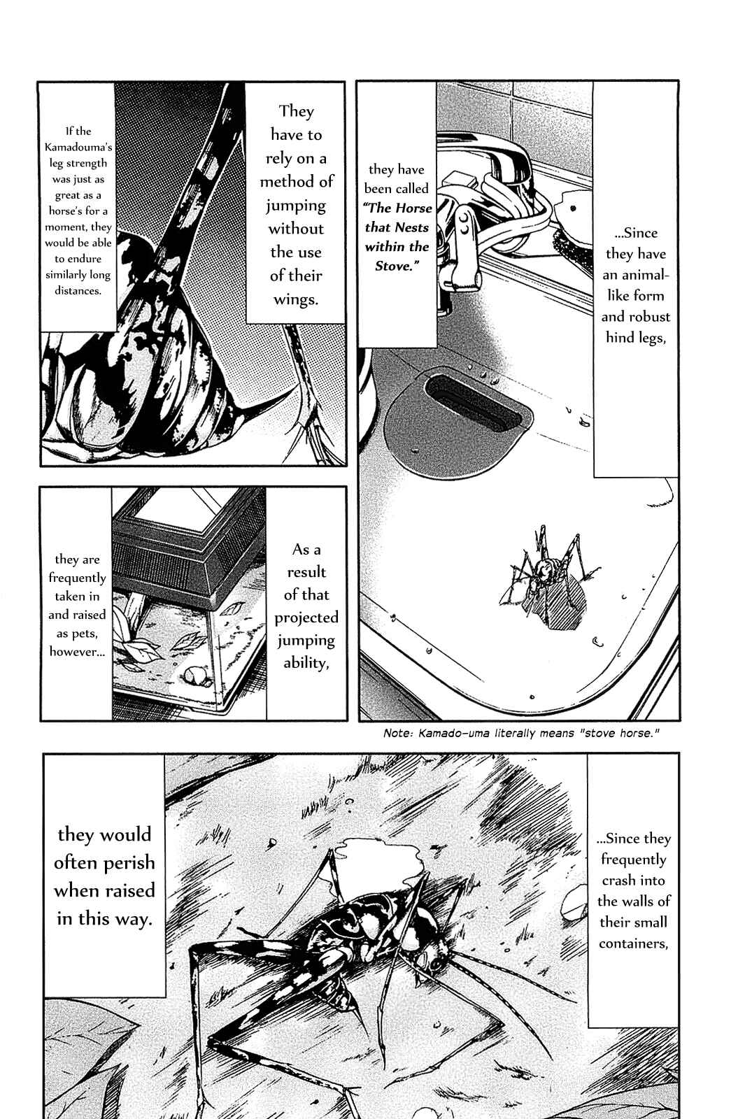 Page 24 Chapter 15 Arachnid
