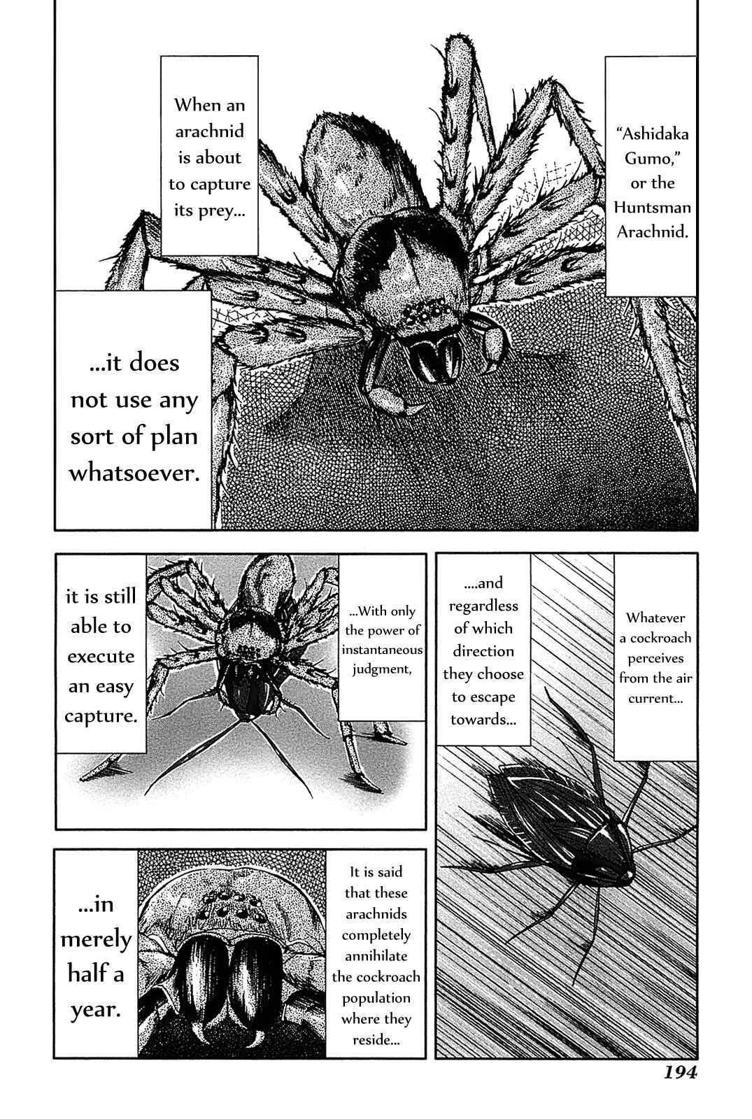 Page 22 Chapter 10 Arachnid