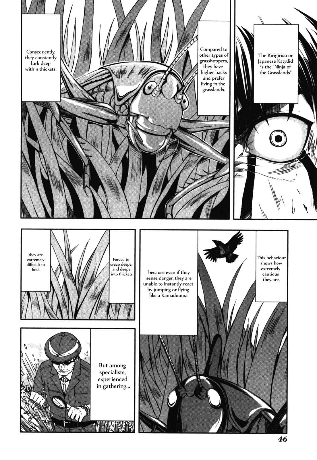 Page 16 Chapter 27 Arachnid