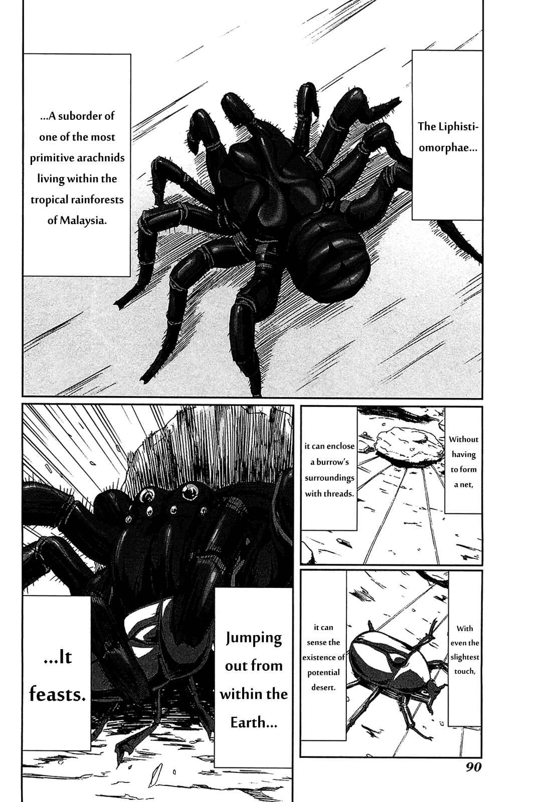 Page 2 Chapter 3 Arachnid
