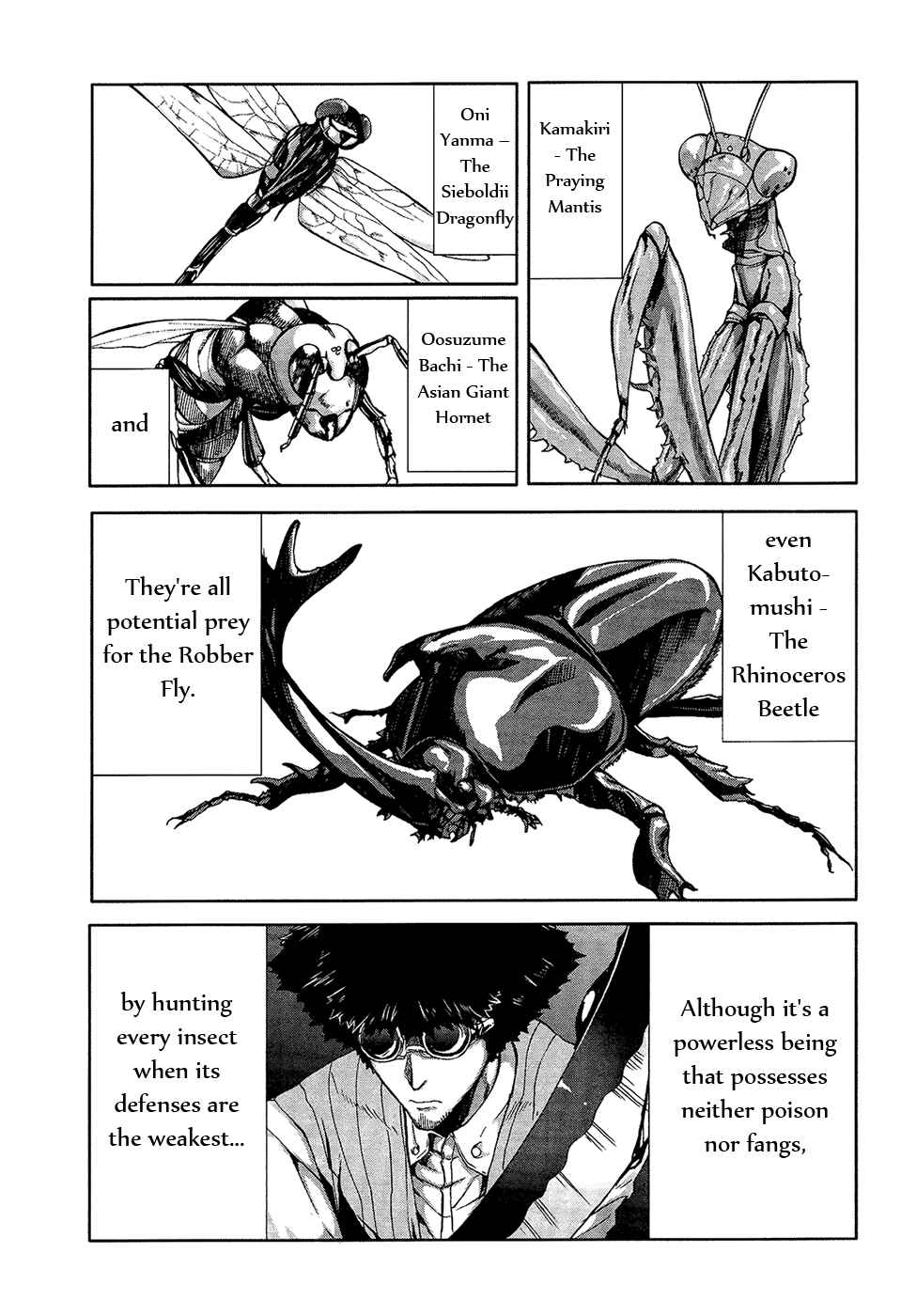 Page 14 Chapter 33 Arachnid