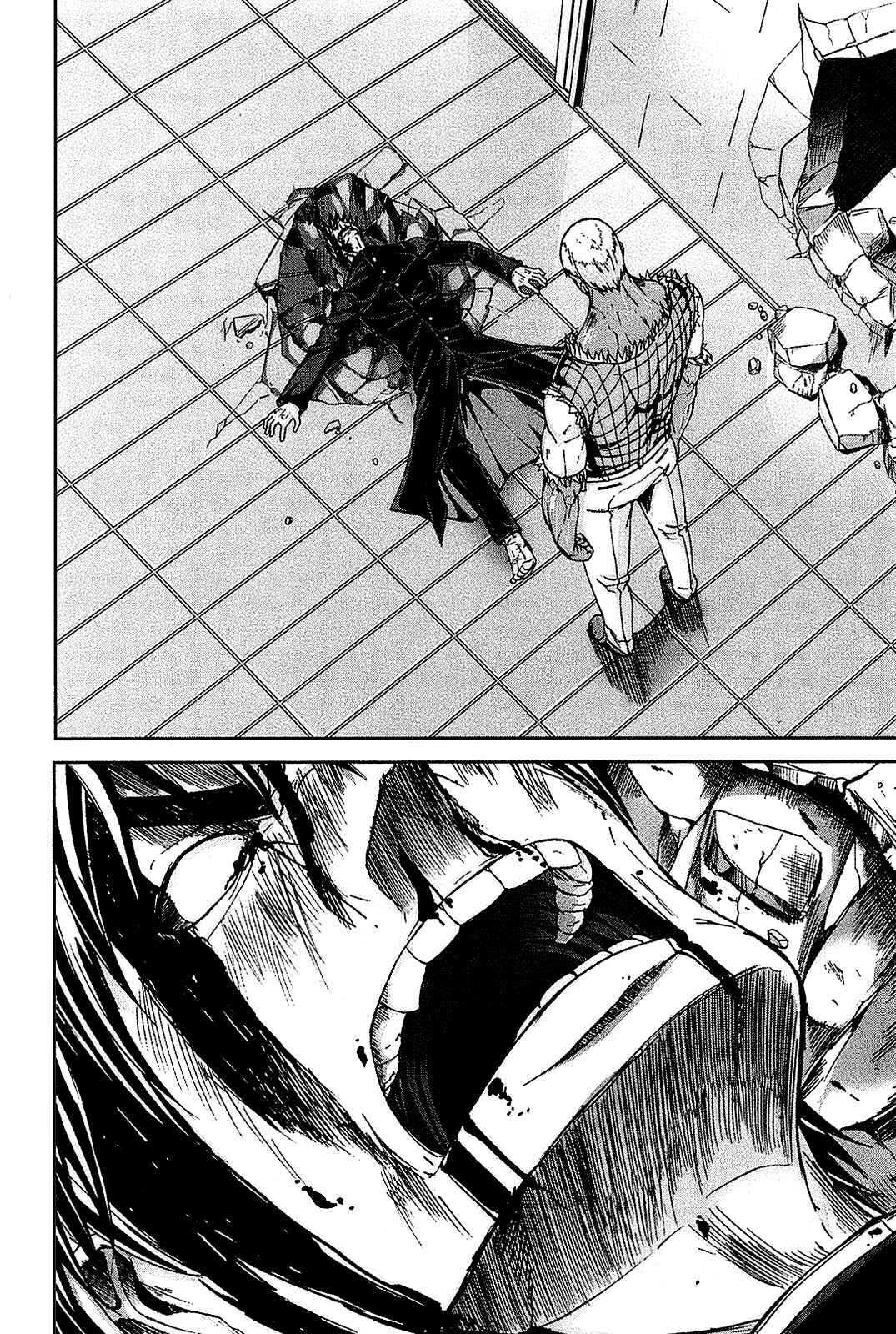 Page 14 Chapter 23 Arachnid