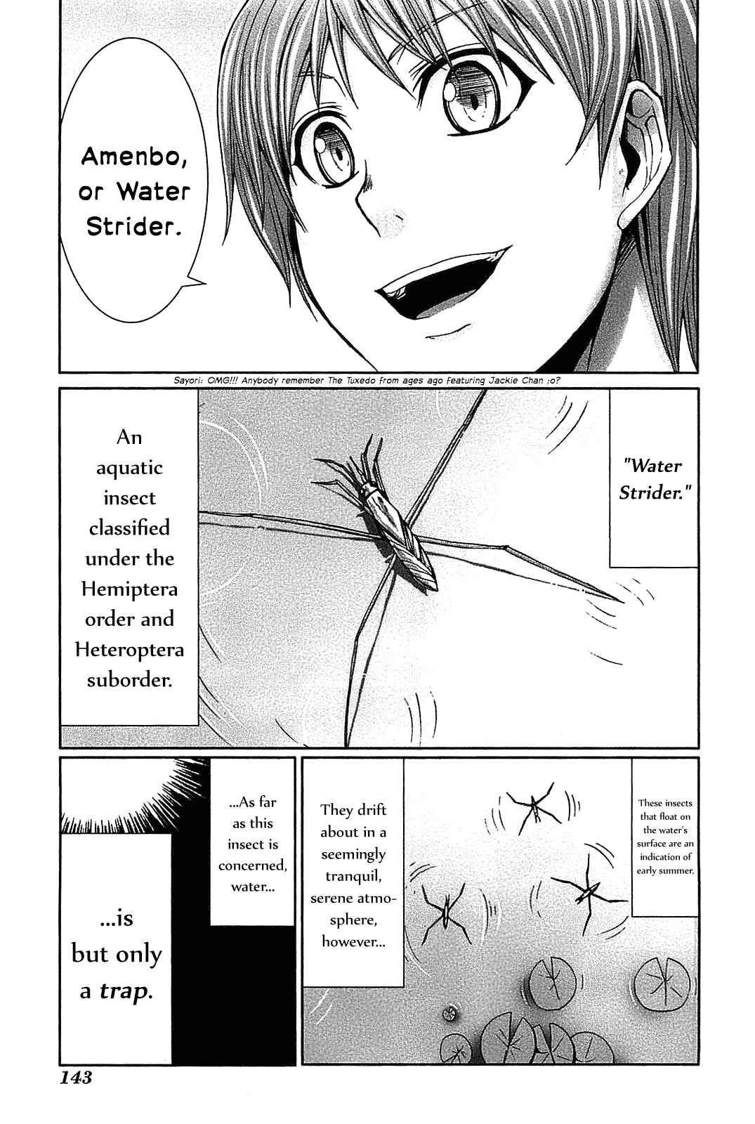 Page 32 Chapter 19 Arachnid