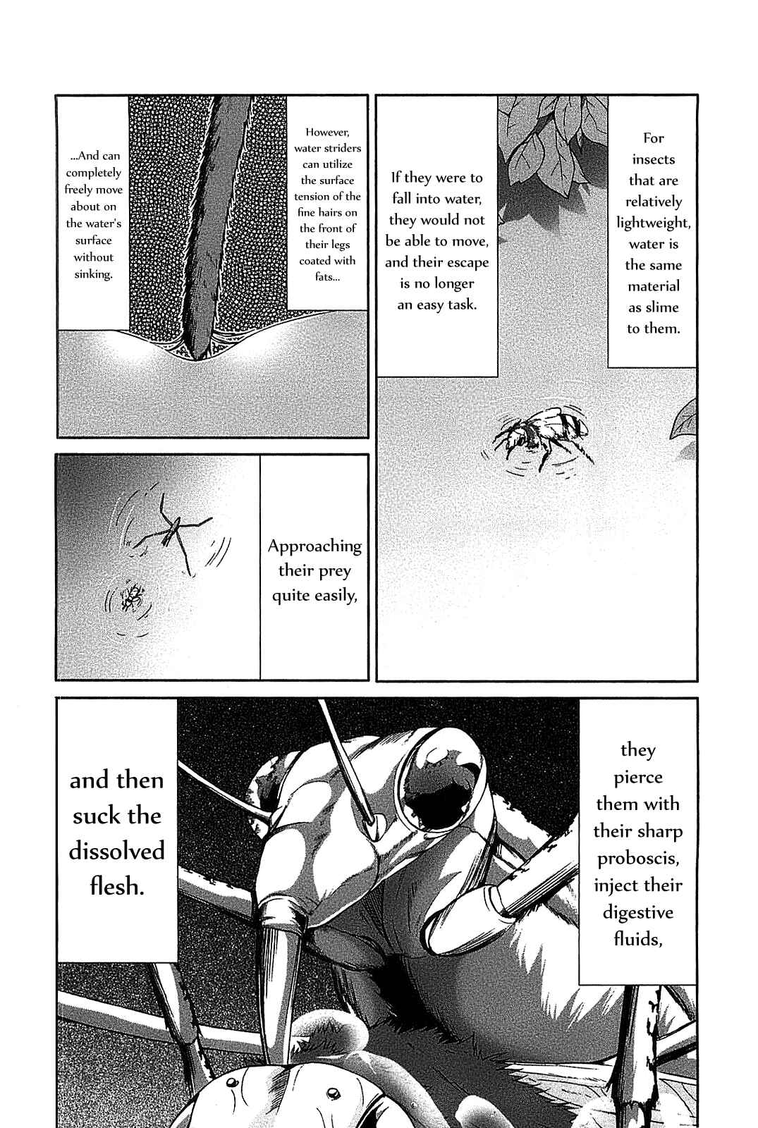 Page 33 Chapter 19 Arachnid