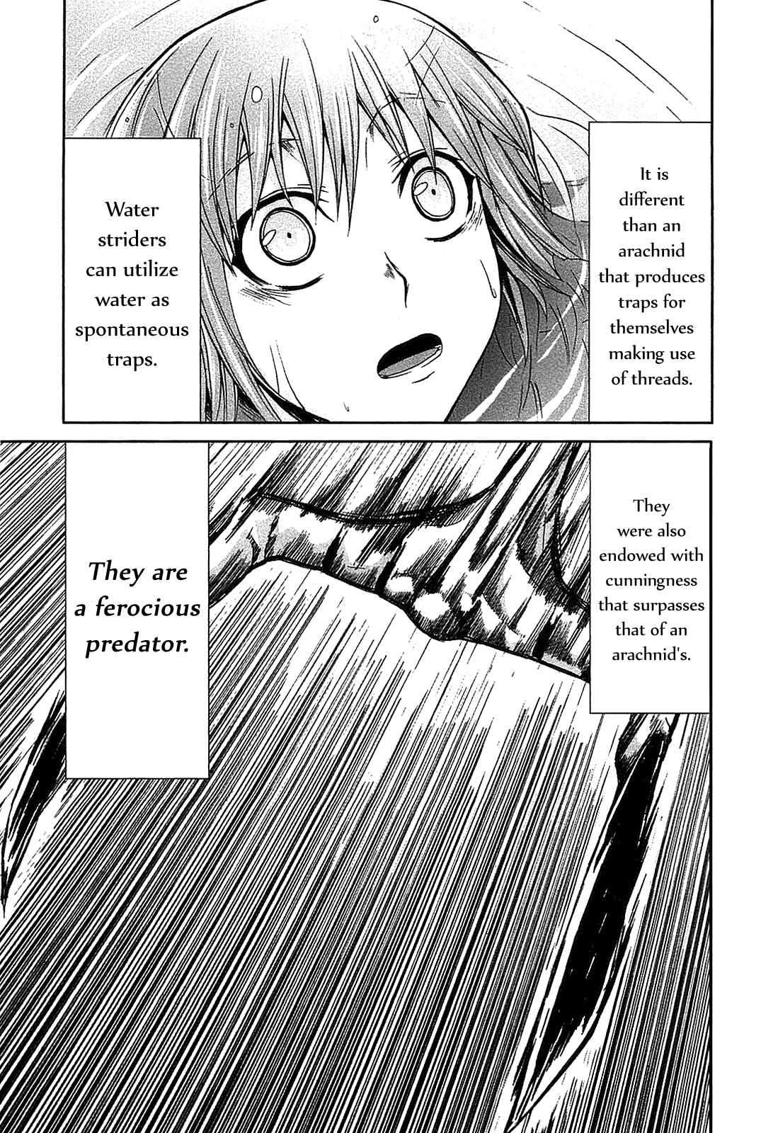 Page 34 Chapter 19 Arachnid
