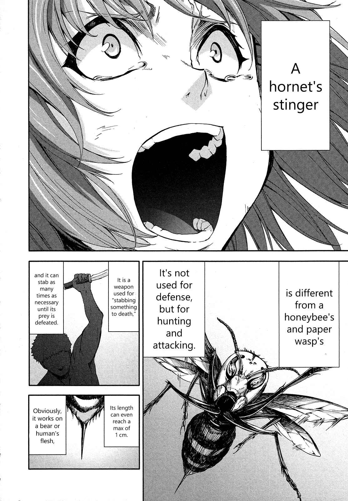 Page 24 Chapter 65 Arachnid