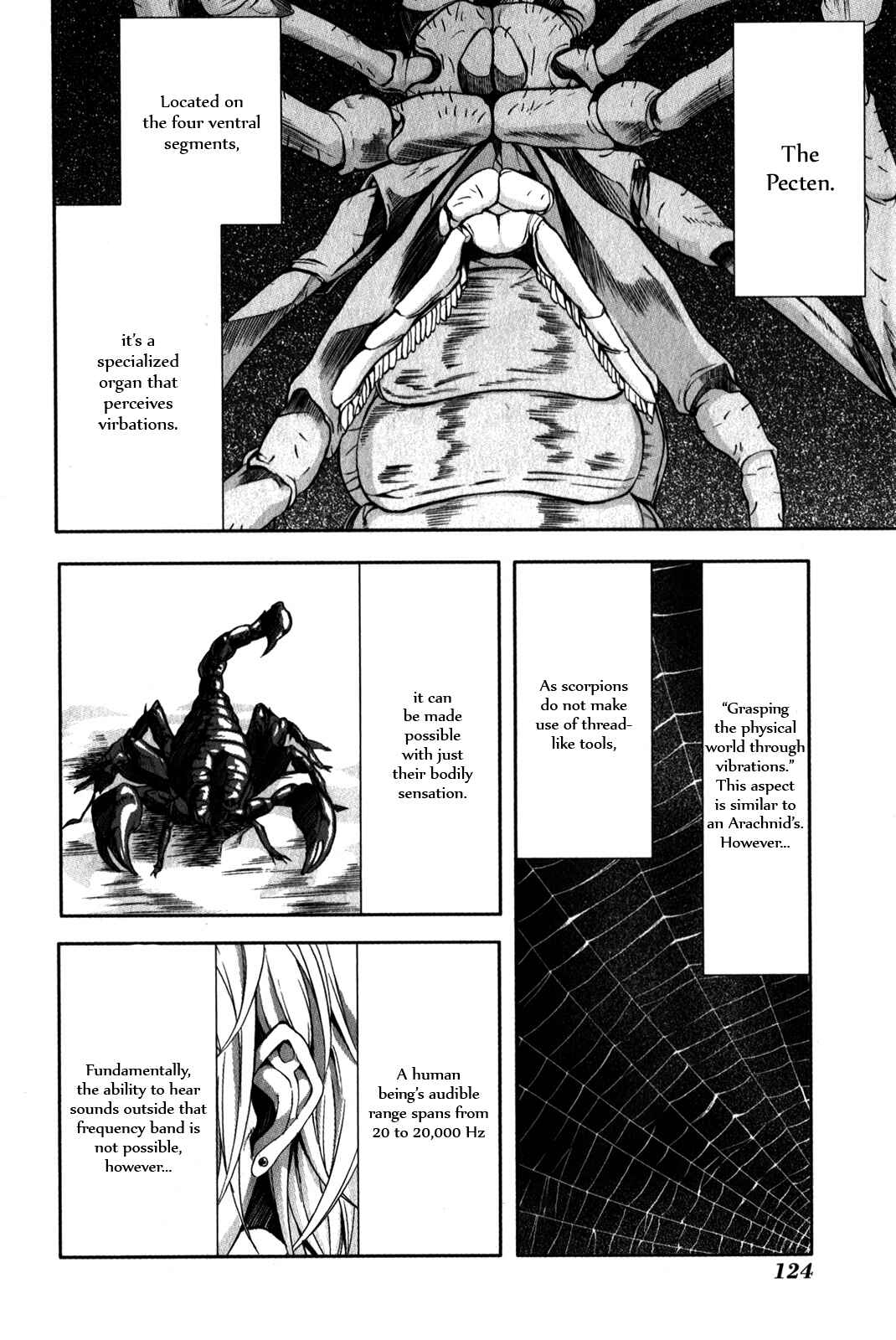 Page 16 Chapter 29 Arachnid