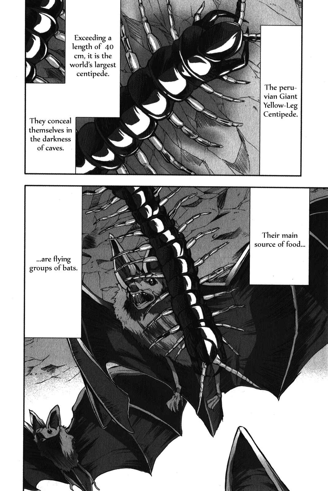 Page 8 Chapter 29 Arachnid