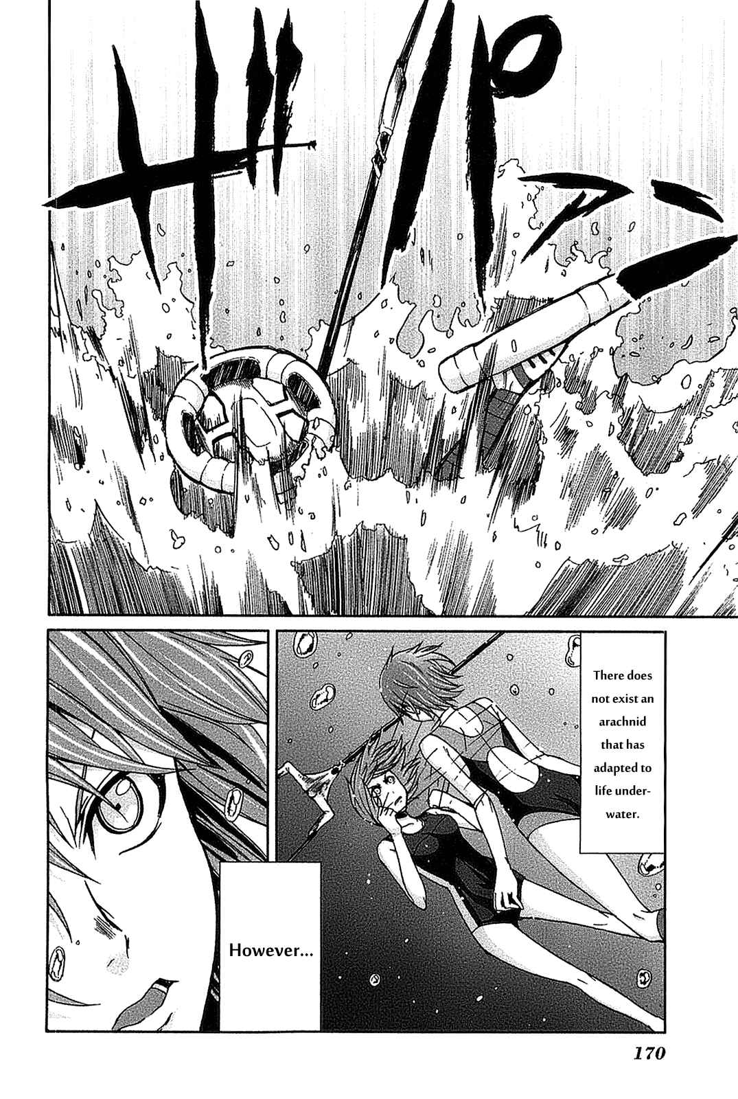 Page 12 Chapter 20 Arachnid