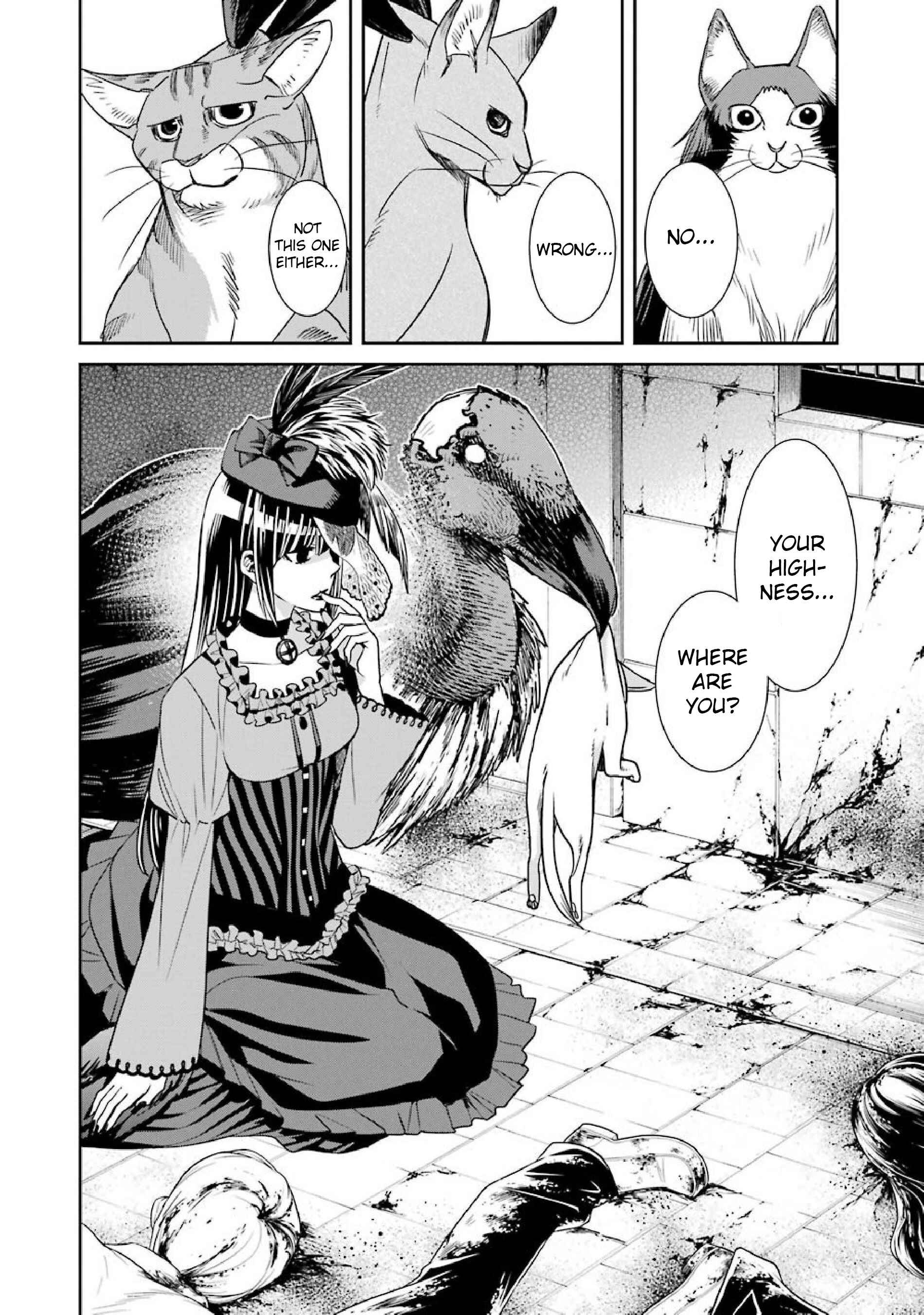 Page 17 Chapter 5 Kyoukoku no Recuerdo