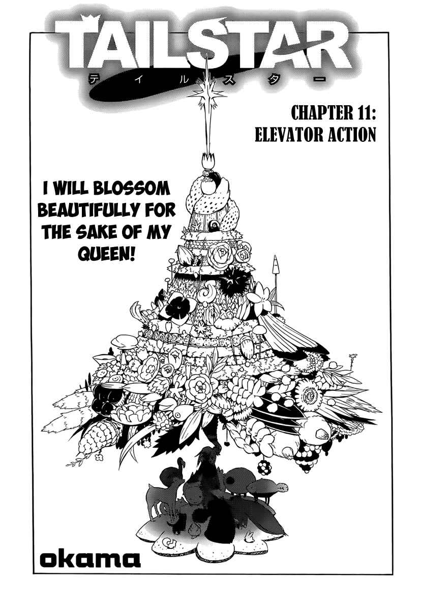 Page 2 Chapter 11 Tail Star