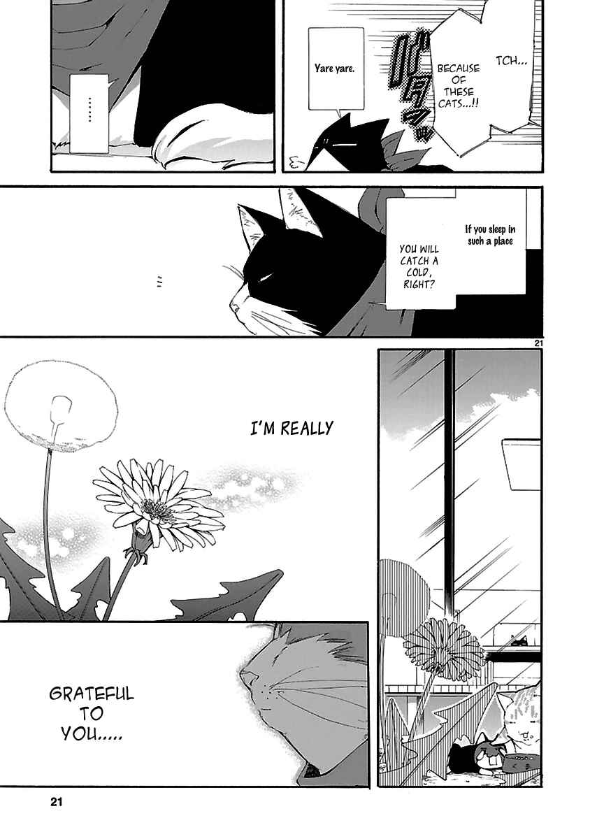 Page 21 Chapter 20 Nyan Koi!