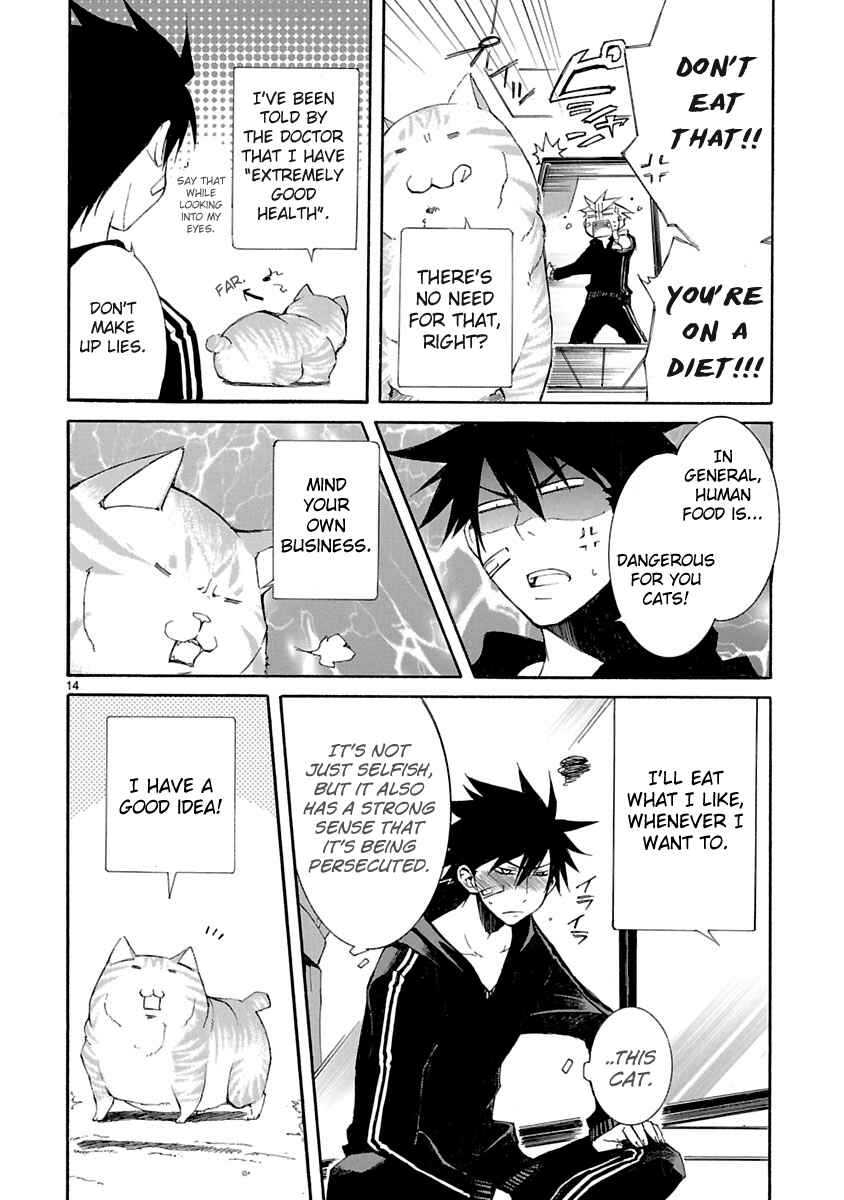 Page 15 Chapter 8 Nyan Koi!