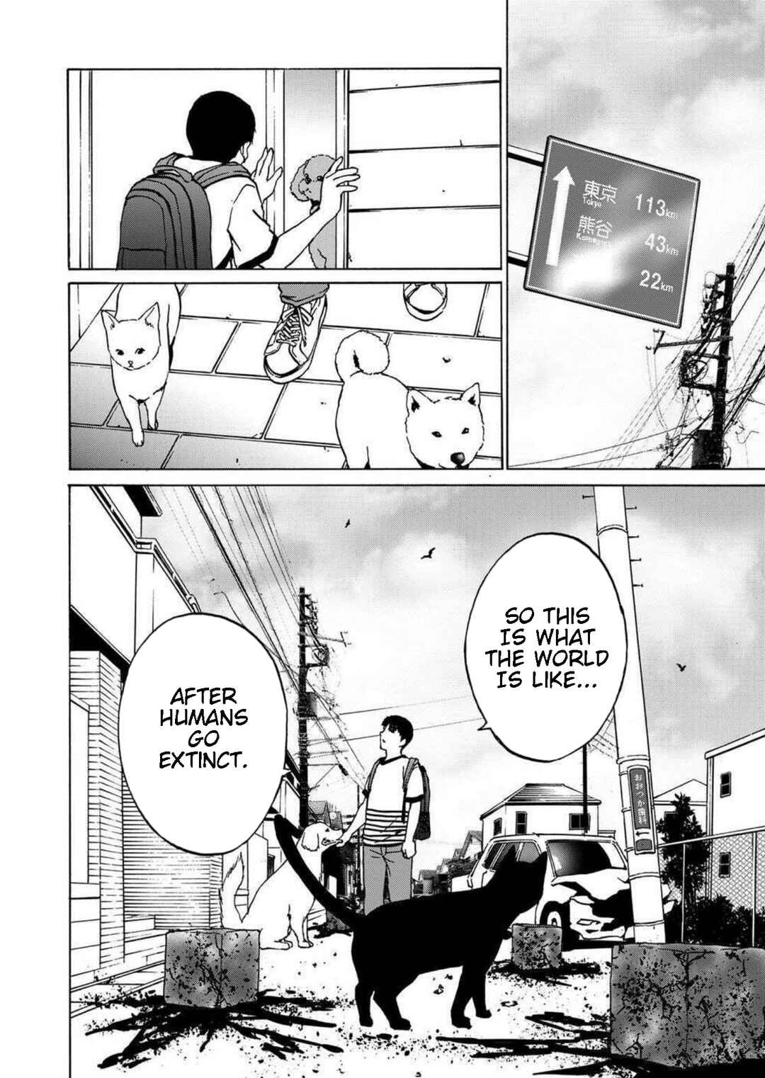 Page 18 Chapter 15 Green Box
