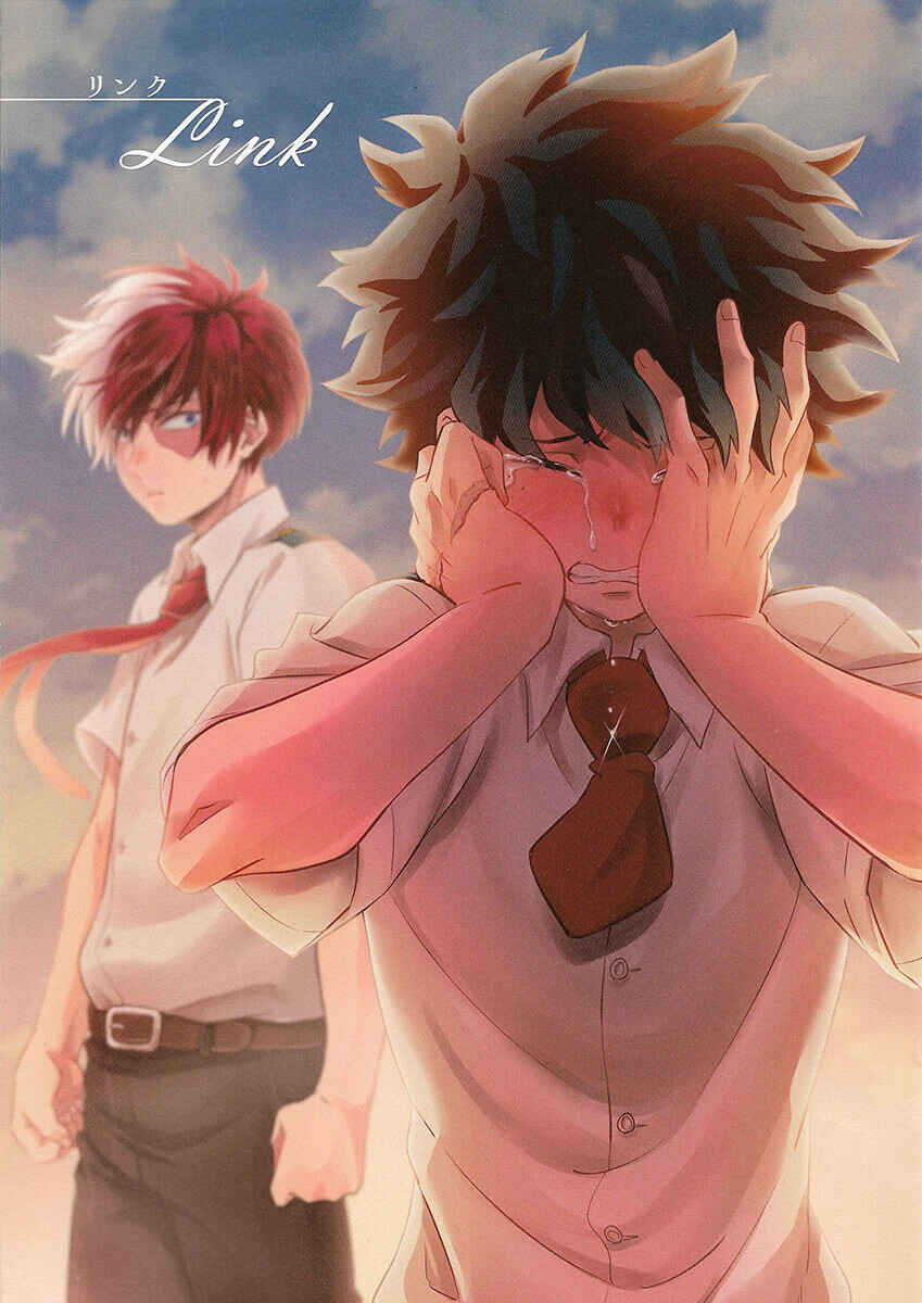 Page 2 Chapter Unknown_a3c4 Boku no Hero Academia - LINK (Doujinshi)