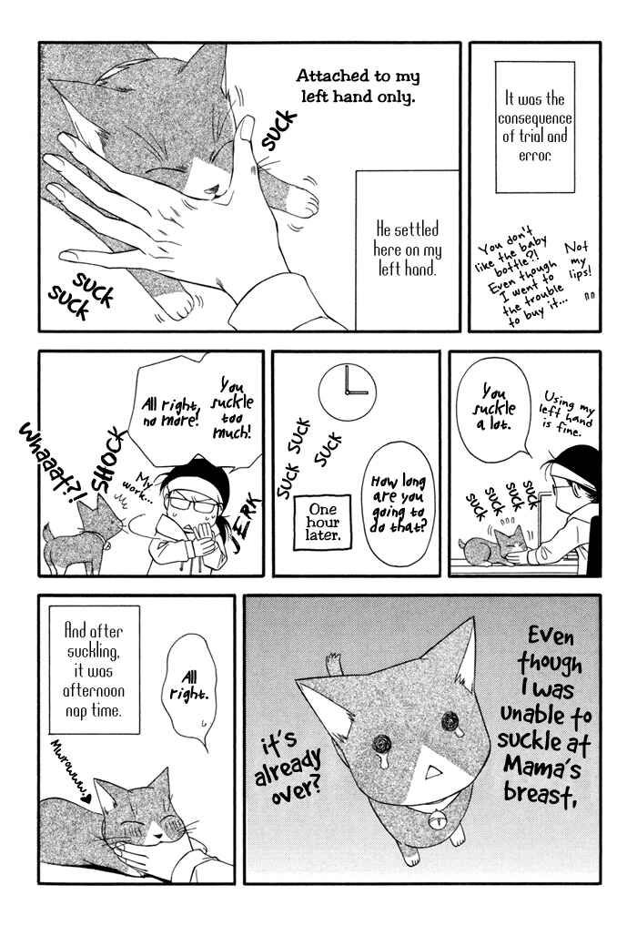 Page 13 Chapter 6.5 Inu to no Hibi
