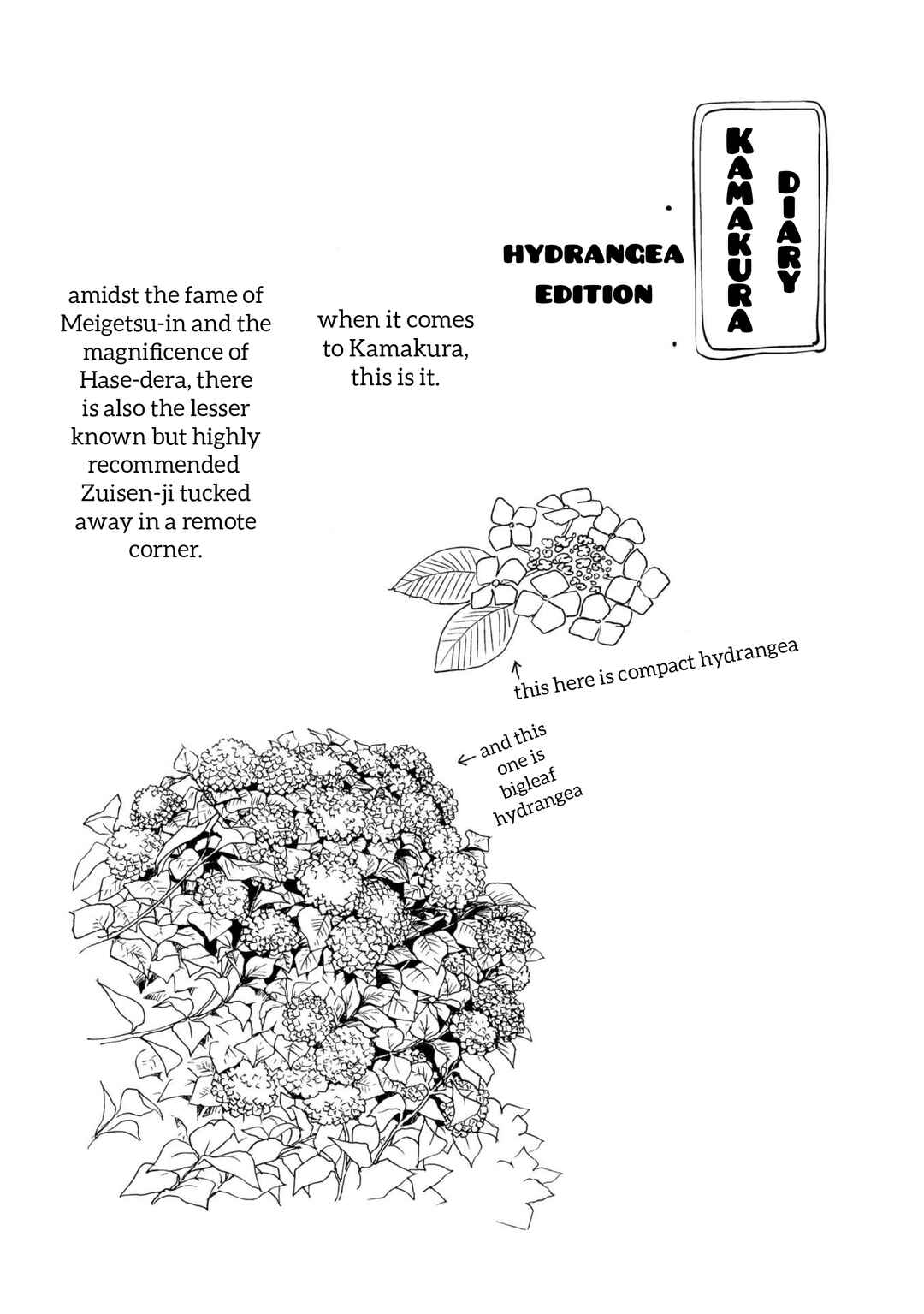 Page 13 Chapter 6 Neko to Futari no Kamakura Techou