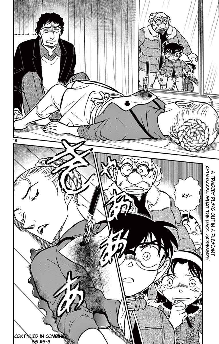 Page 17 Chapter 801 Detective Conan