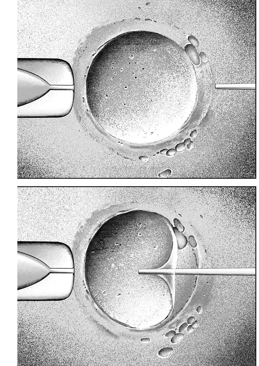 Page 5 Chapter 62 Libidors