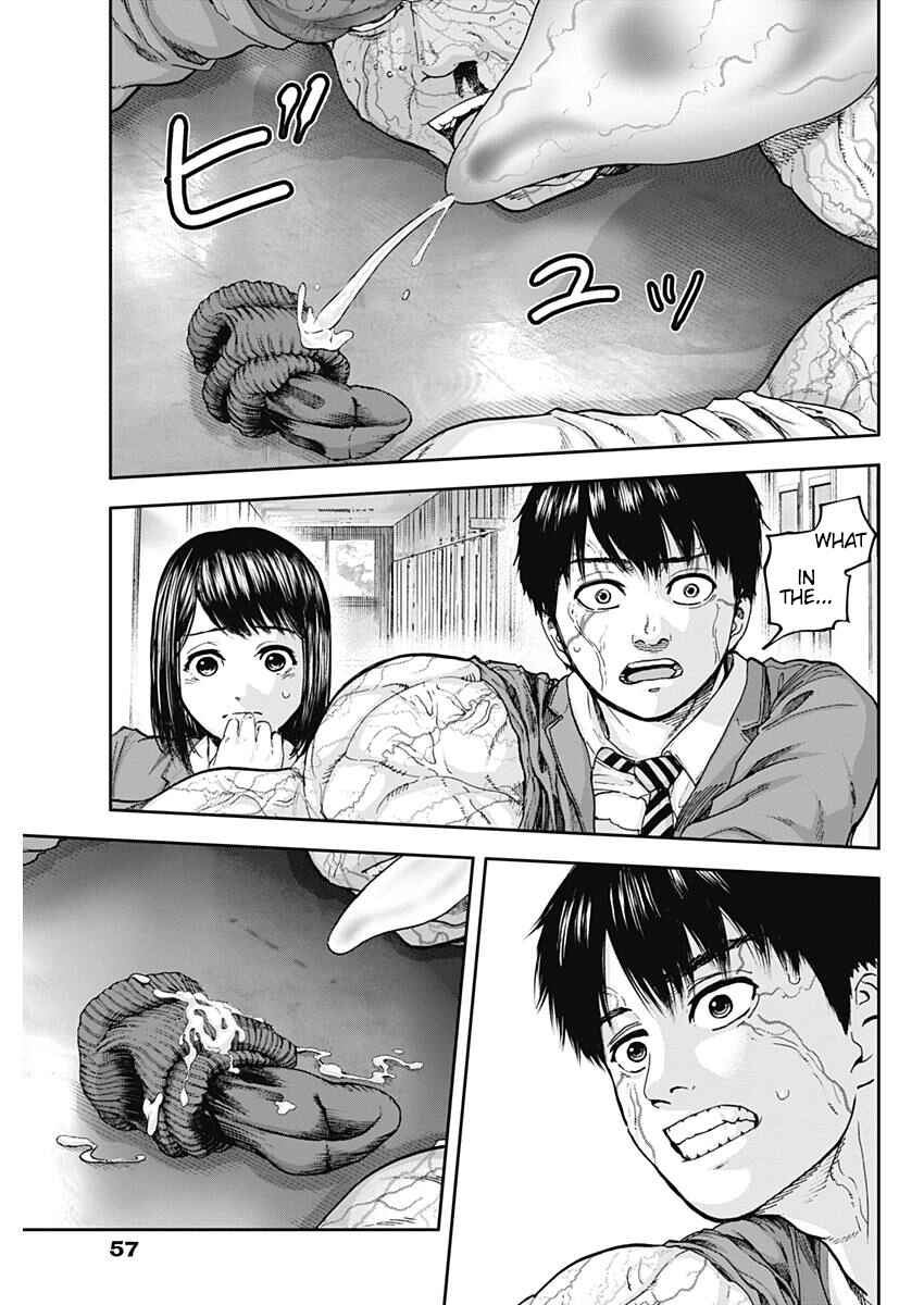 Page 12 Chapter 5 Libidors