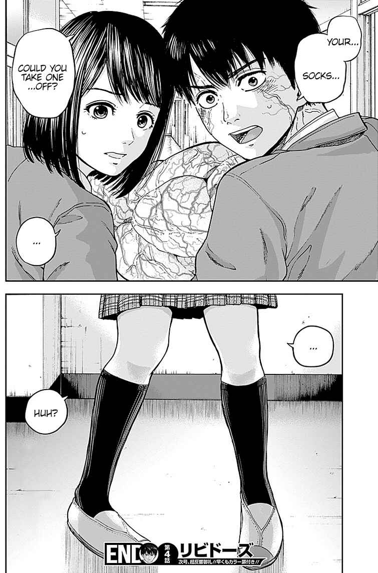 Page 19 Chapter 4 Libidors