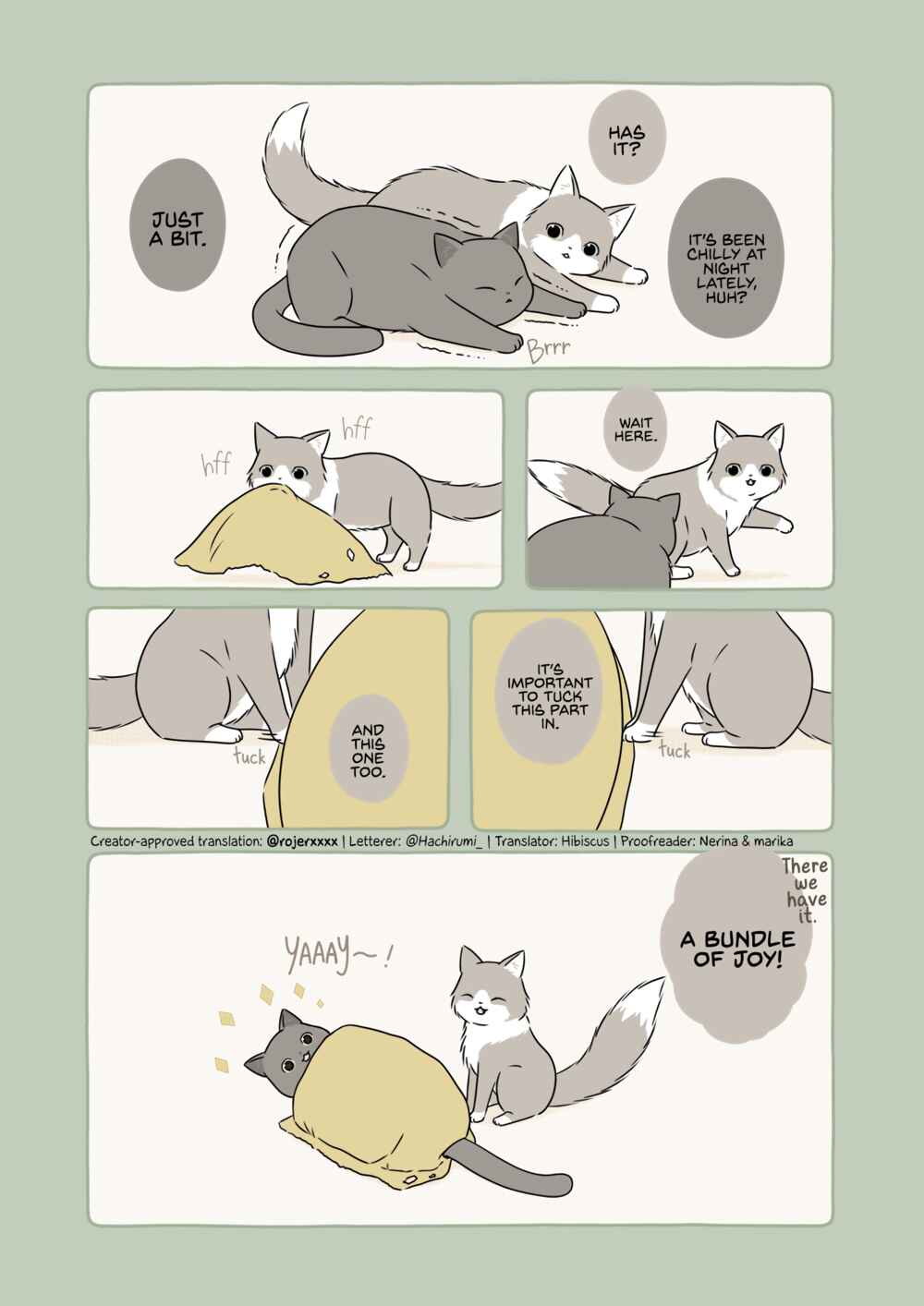 Page 1 Chapter 2 Outdoor Cats