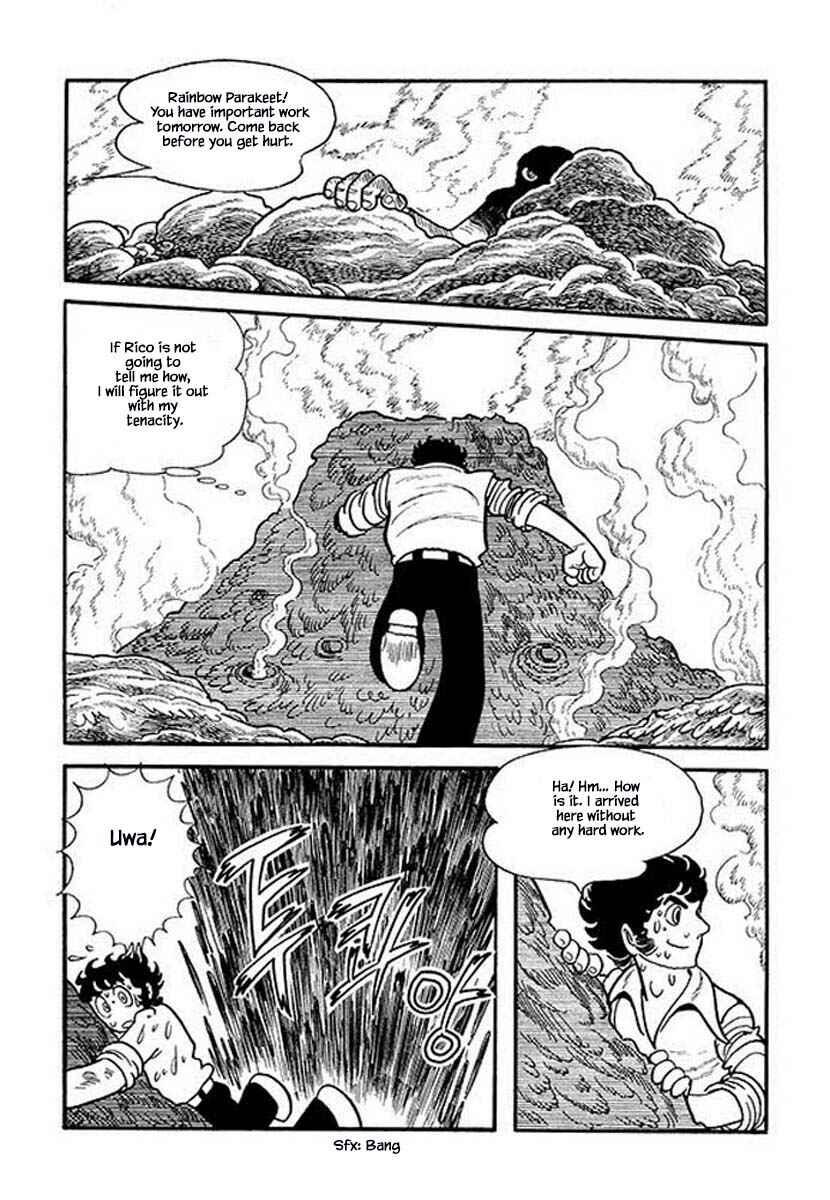 Page 23 Chapter 6.1 Rainbow Parakeet