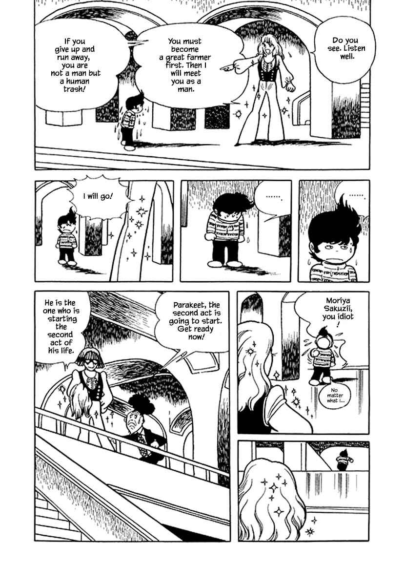 Page 23 Chapter 41 Rainbow Parakeet