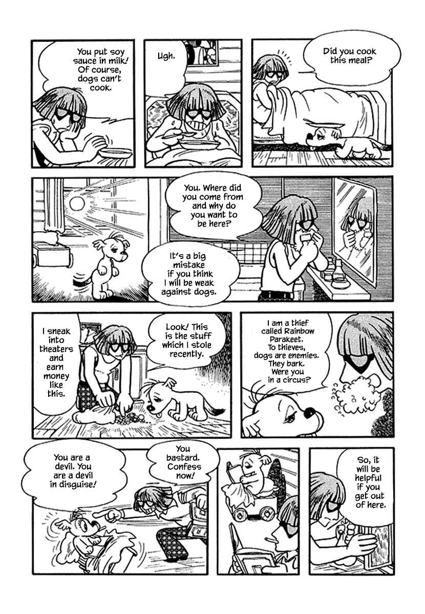 Page 17 Chapter 13 Rainbow Parakeet