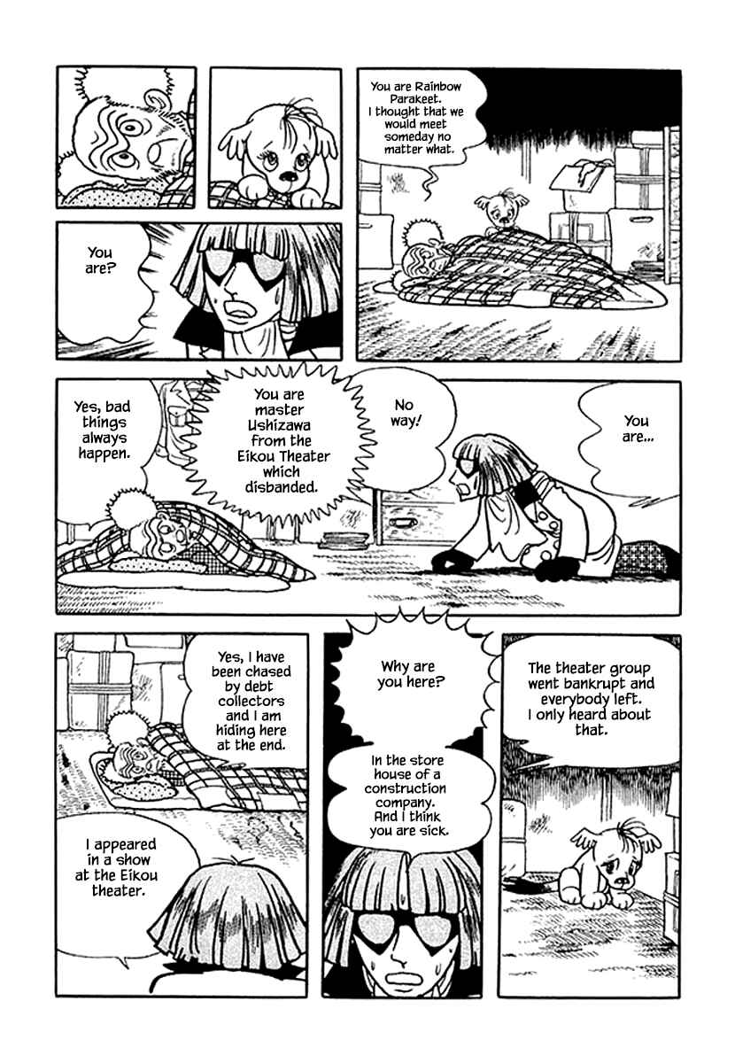 Page 21 Chapter 13 Rainbow Parakeet