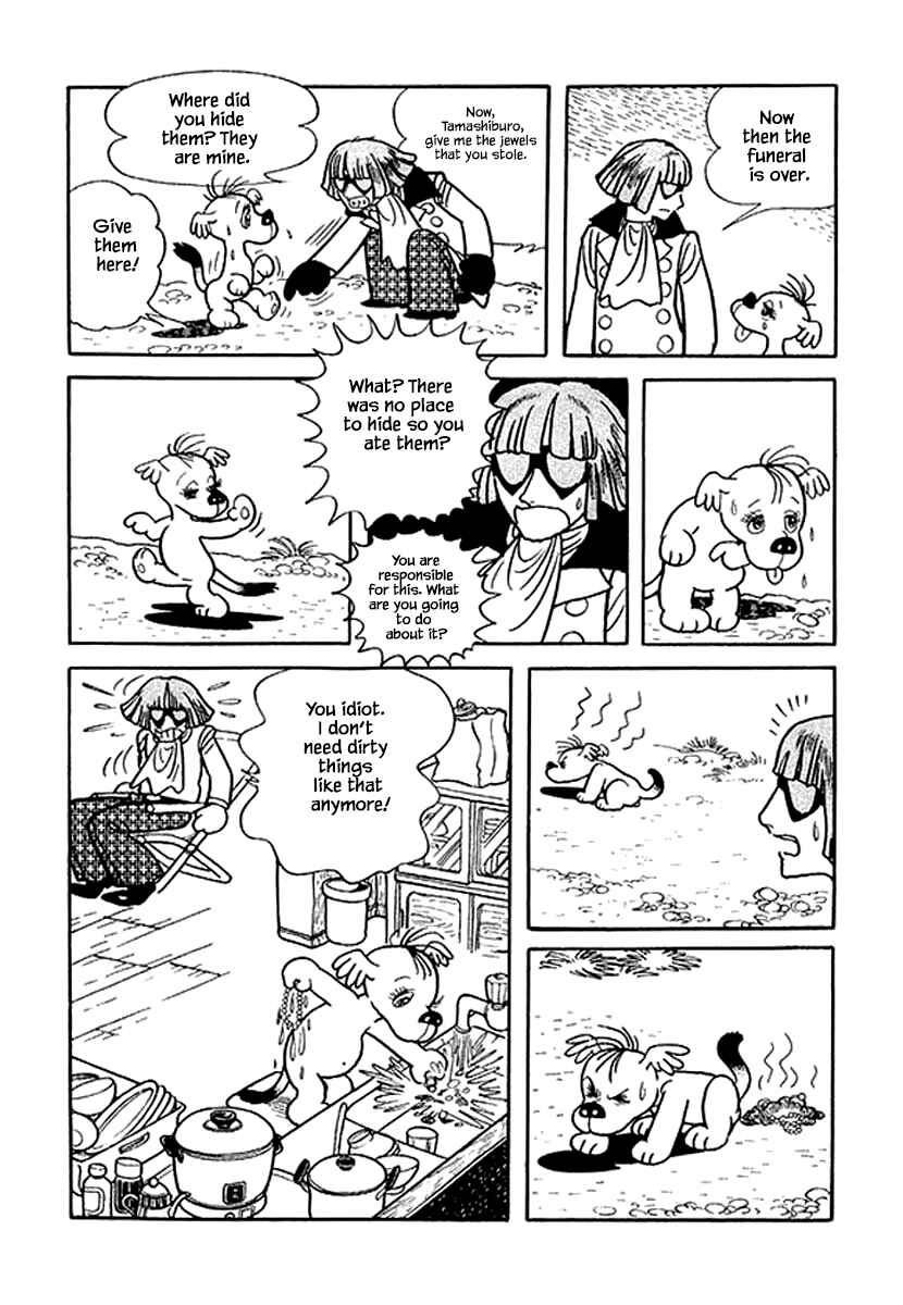Page 24 Chapter 13 Rainbow Parakeet