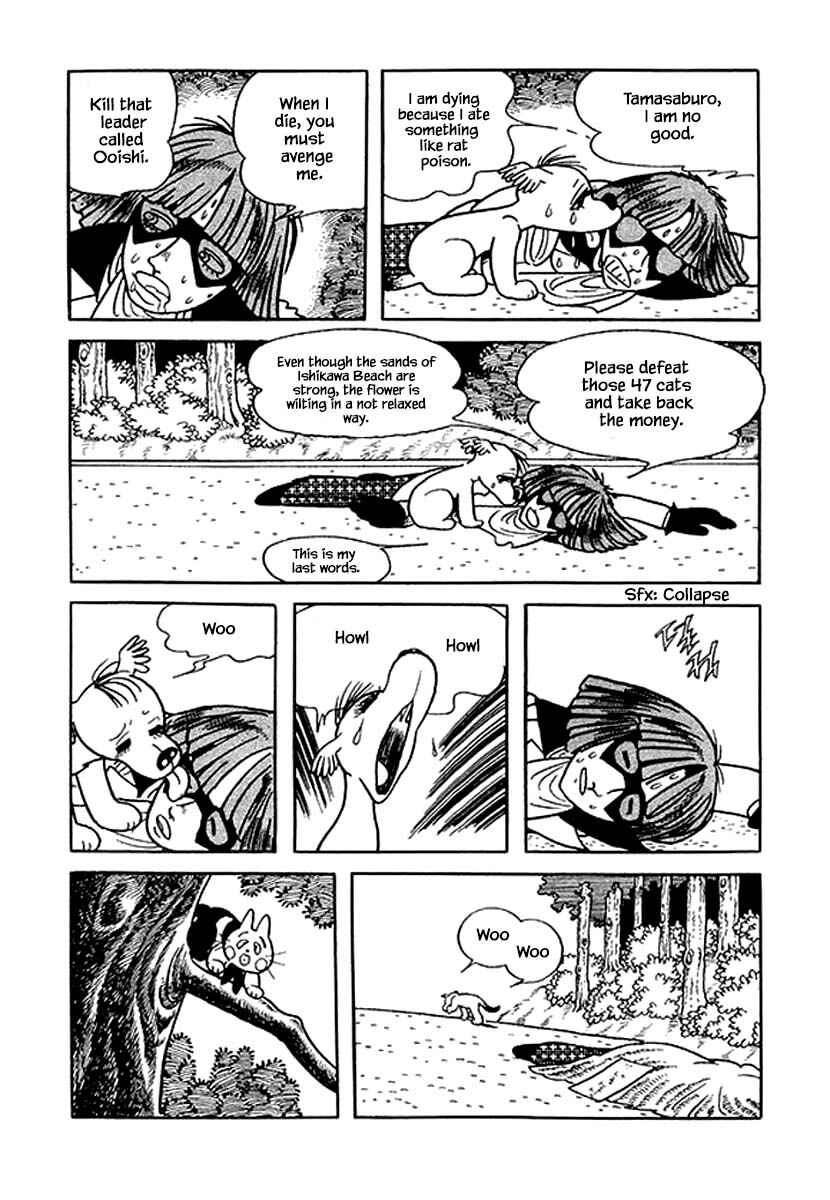 Page 10 Chapter 36 Rainbow Parakeet