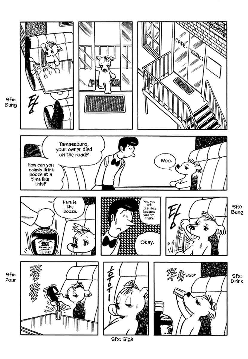 Page 11 Chapter 36 Rainbow Parakeet