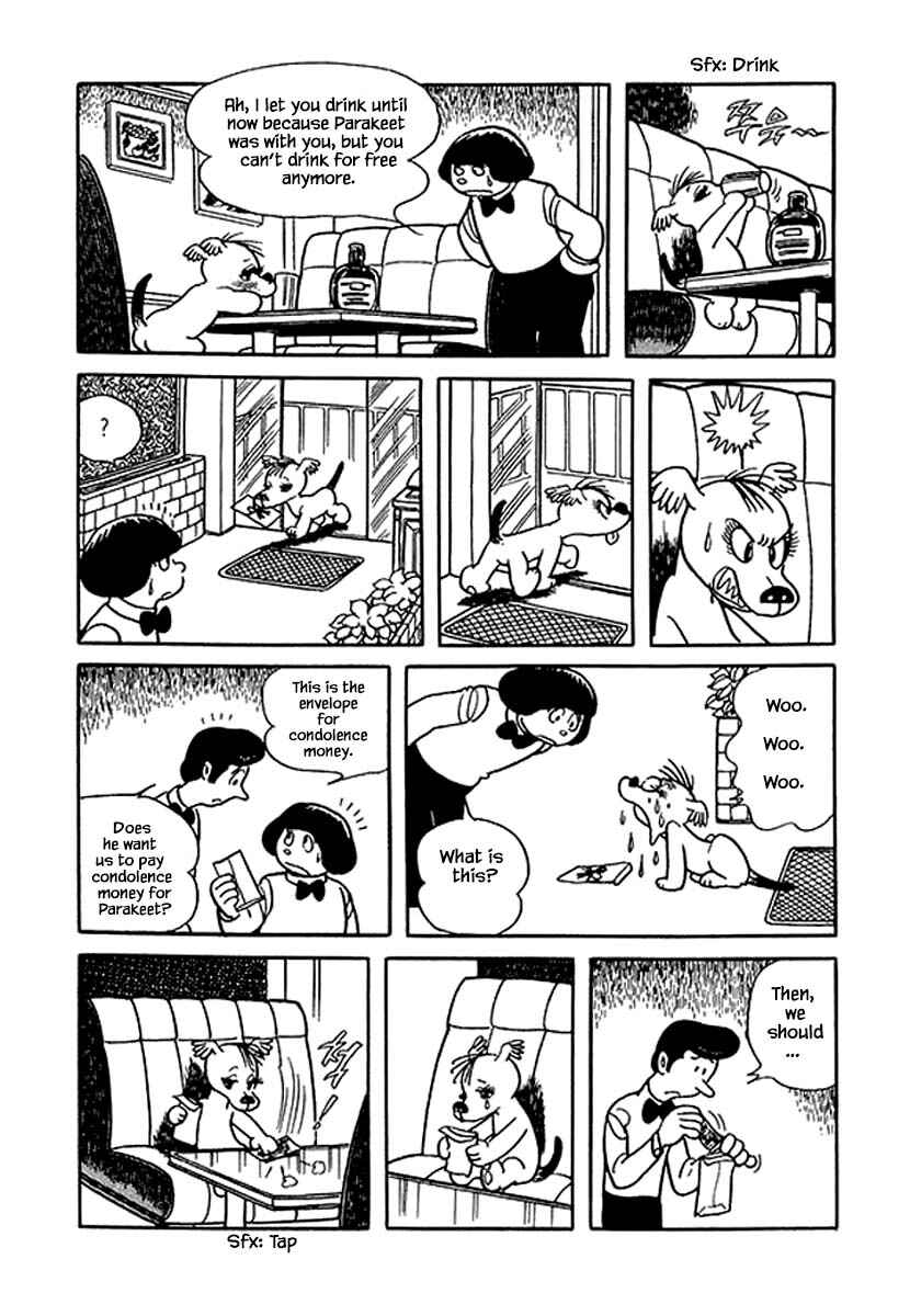 Page 12 Chapter 36 Rainbow Parakeet