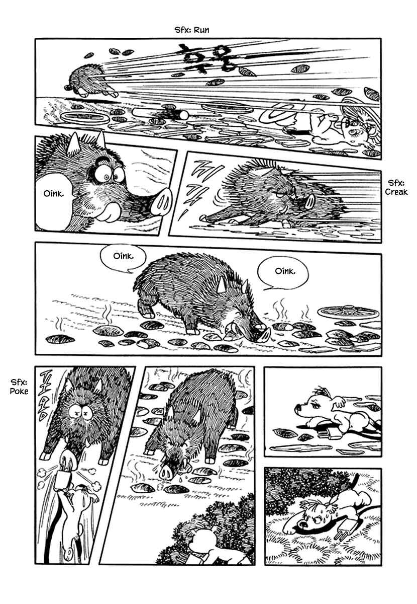 Page 16 Chapter 36 Rainbow Parakeet