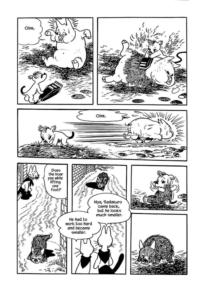 Page 18 Chapter 36 Rainbow Parakeet