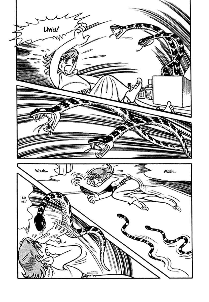 Page 6 Chapter 30.2 Rainbow Parakeet