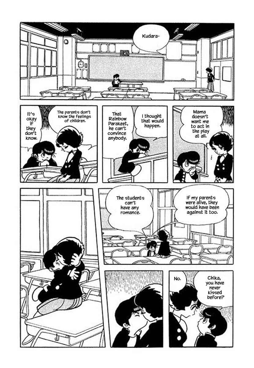 Page 16 Chapter 29 Rainbow Parakeet