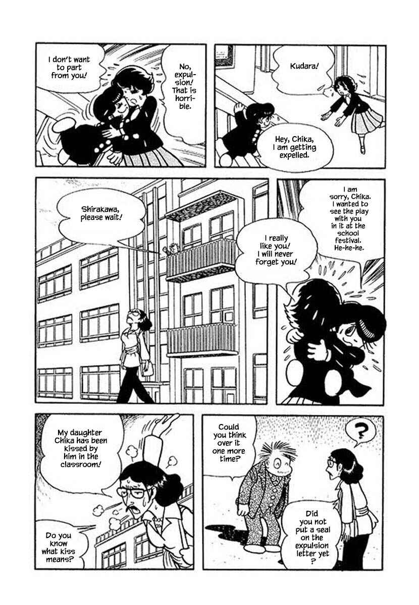 Page 24 Chapter 29 Rainbow Parakeet