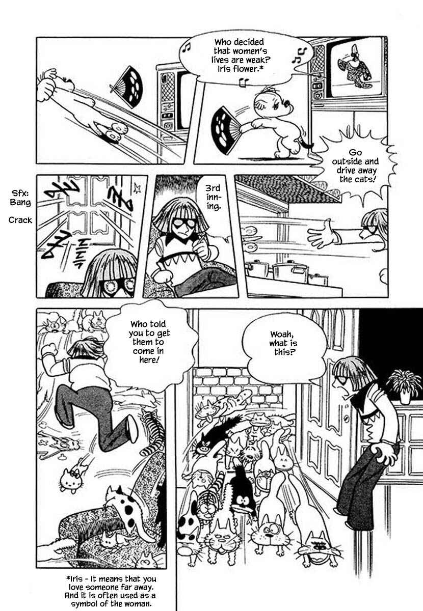 Page 4 Chapter 26 Rainbow Parakeet