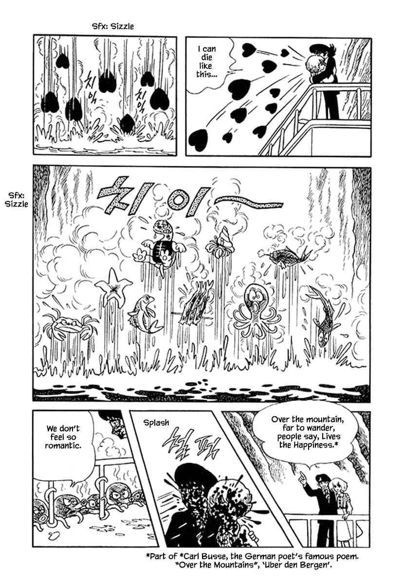 Page 11 Chapter 24 Rainbow Parakeet
