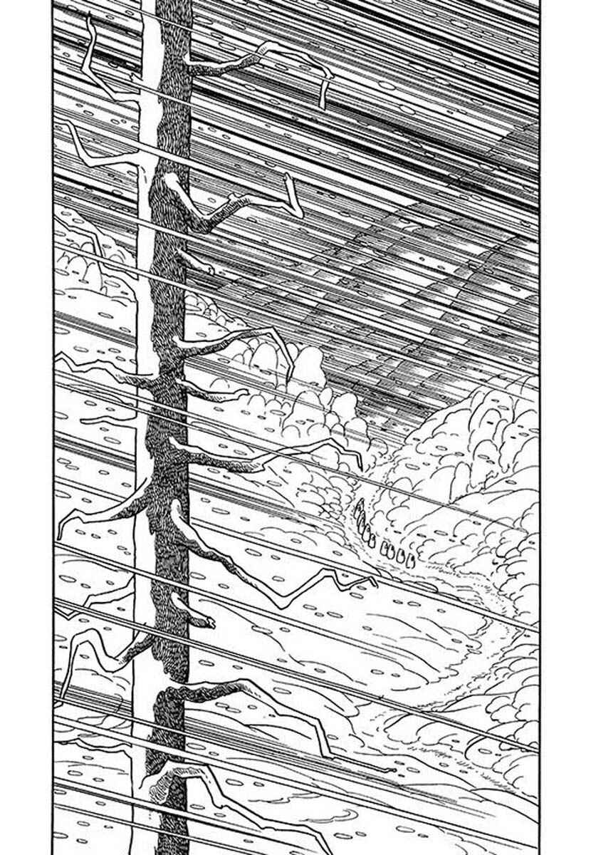 Page 20 Chapter 44.2 Rainbow Parakeet