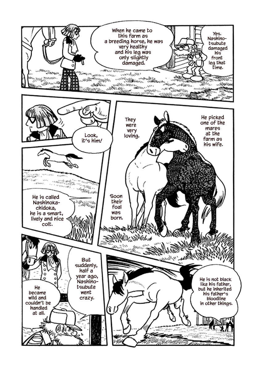 Page 17 Chapter 15.1 Rainbow Parakeet