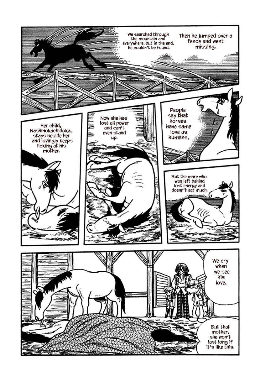 Page 18 Chapter 15.1 Rainbow Parakeet